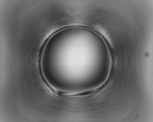 X0000097841460200803141157