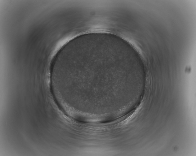 X0000097841461200803141157