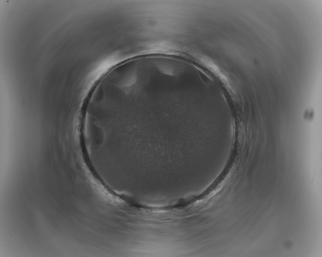 X0000097841463200803141157