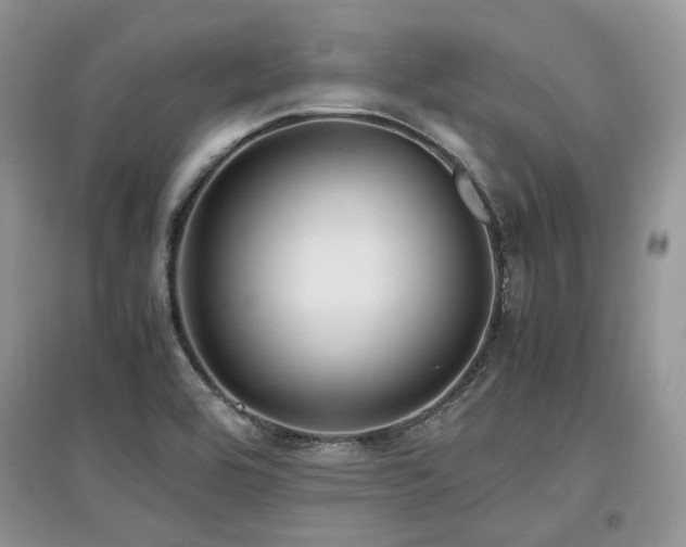 X0000097841464200803141157