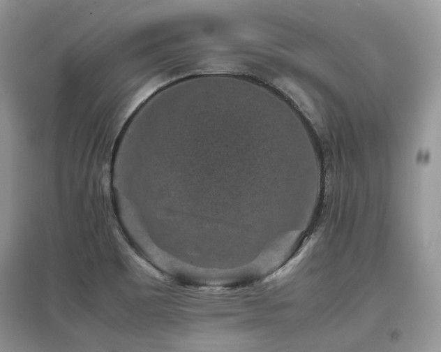 X0000097841465200803141157