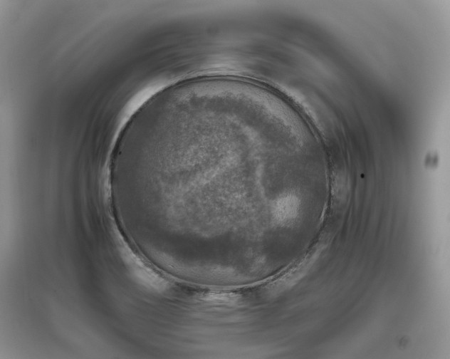 X0000097841466200803141157