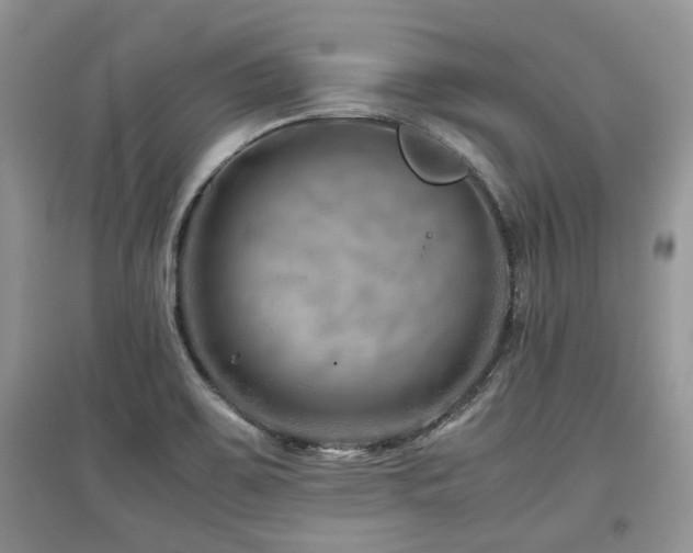 X0000097841467200803141157