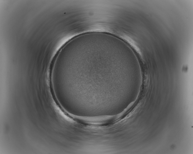 X0000097841468200803141157