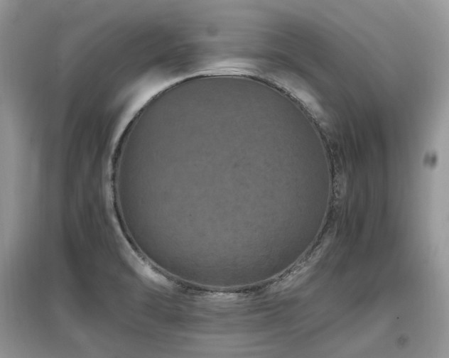 X0000097841470200803141157