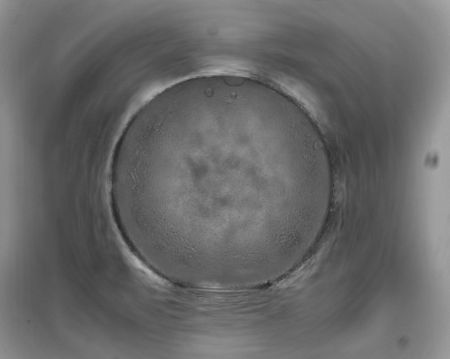 X0000097841471200803141157