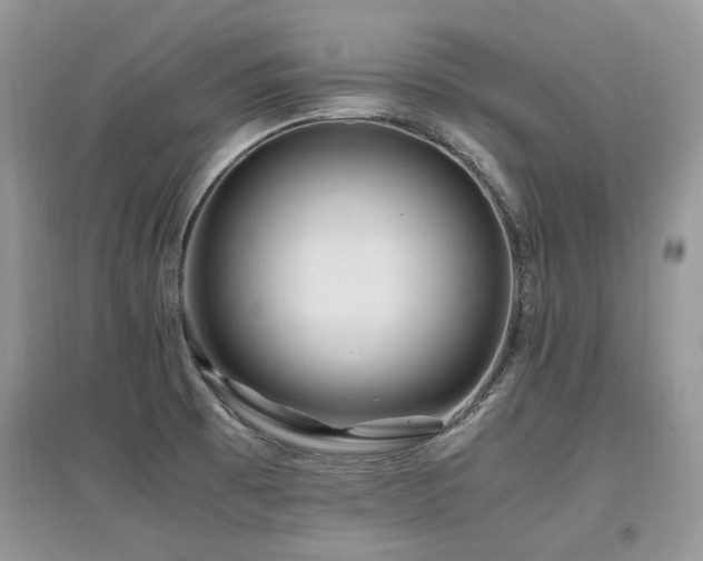 X0000097841473200803141157