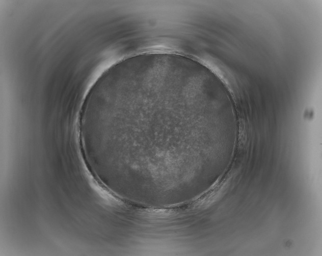 X0000097841474200803141157