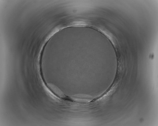 X0000097841475200803141157