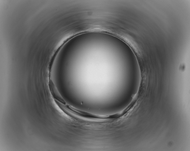 X0000097841476200803141157