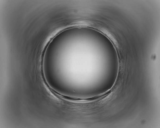 X0000097841477200803141157