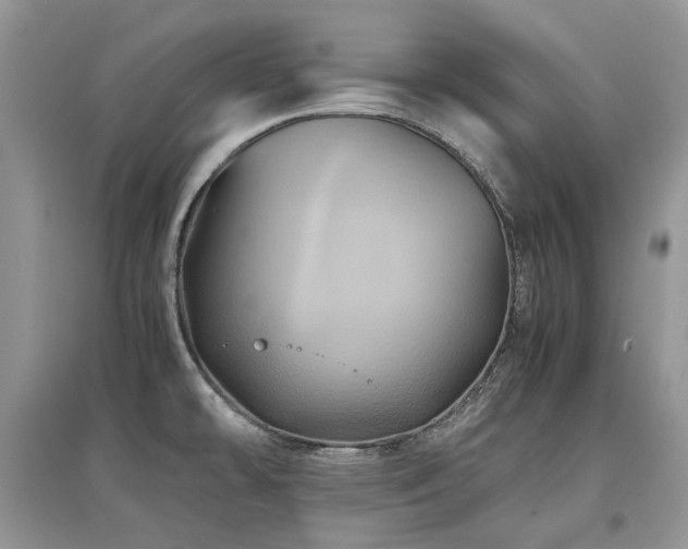 X0000097841478200803141157