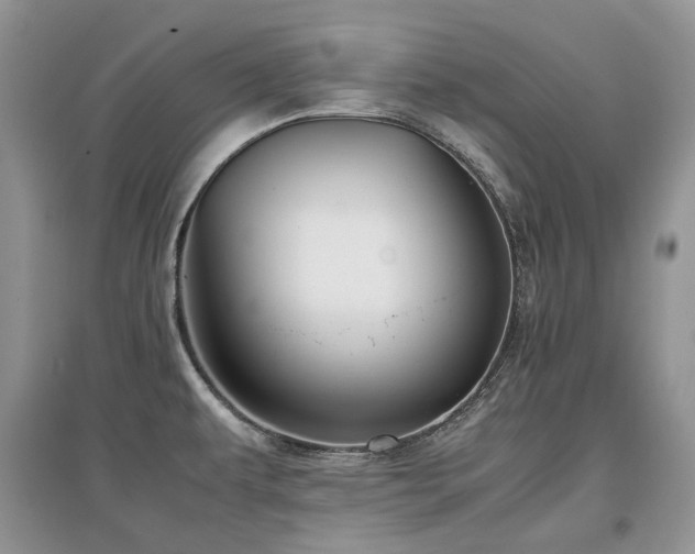 X0000097841479200803141157