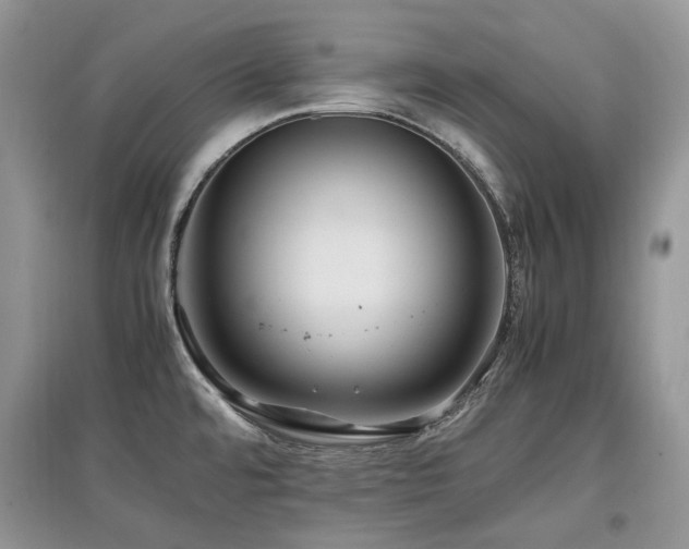 X0000097841480200803141157