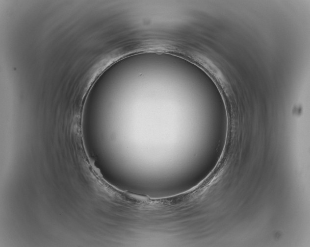 X0000097841481200803141157