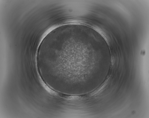 X0000097841482200803141157
