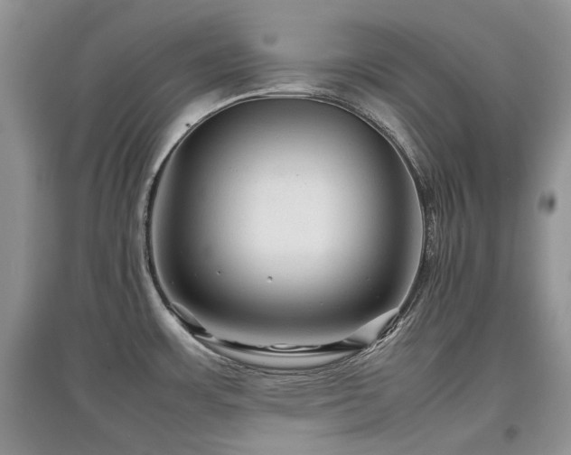 X0000097841483200803141157