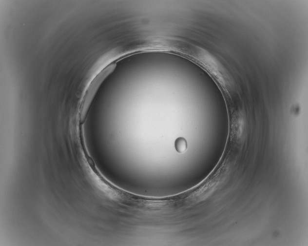 X0000097841484200803141157