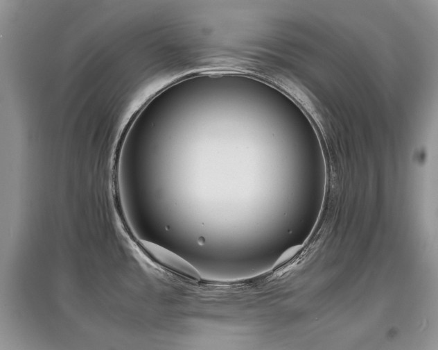 X0000097841485200803141157
