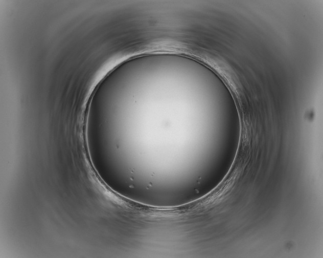 X0000097841486200803141157