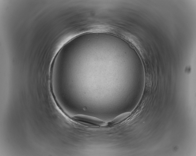 X0000097841487200803141157