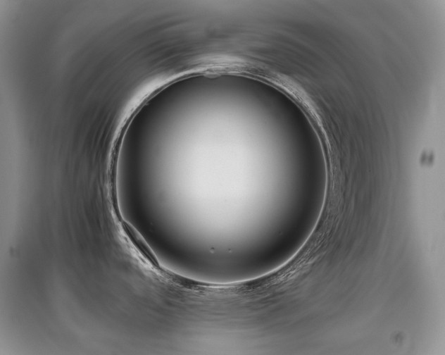 X0000097841488200803141156