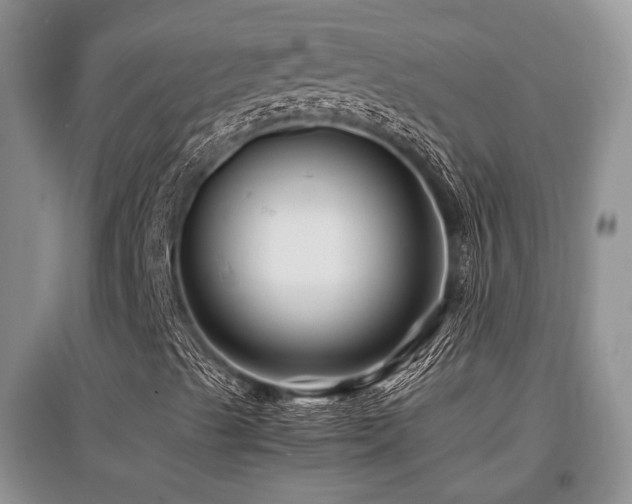 X0000097841489200803141156