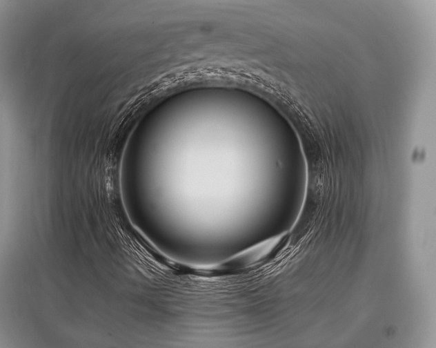 X0000097841490200803141156