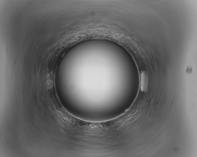 X0000097841491200803141156