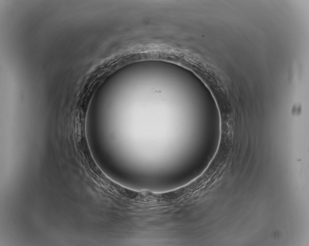 X0000097841493200803141156