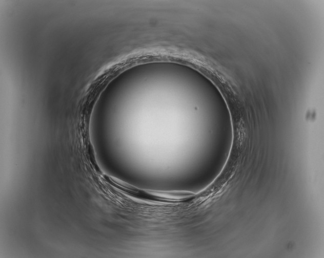 X0000097841494200803141156
