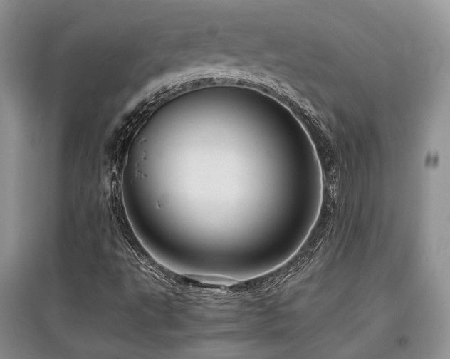 X0000097841495200803141156