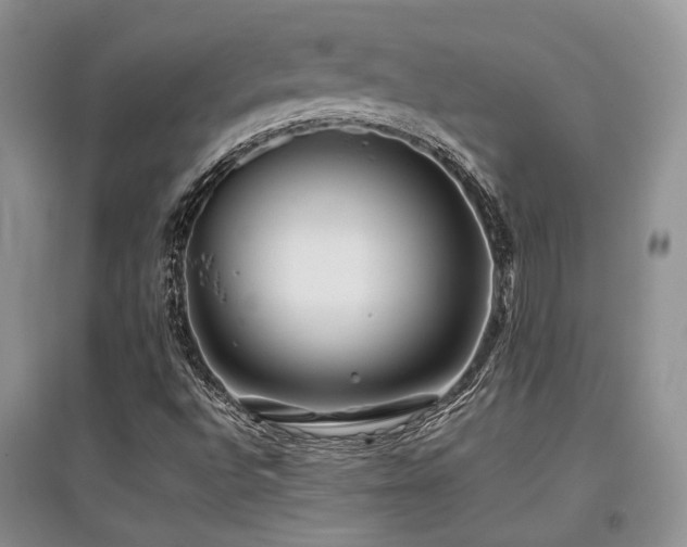 X0000097841496200803141156