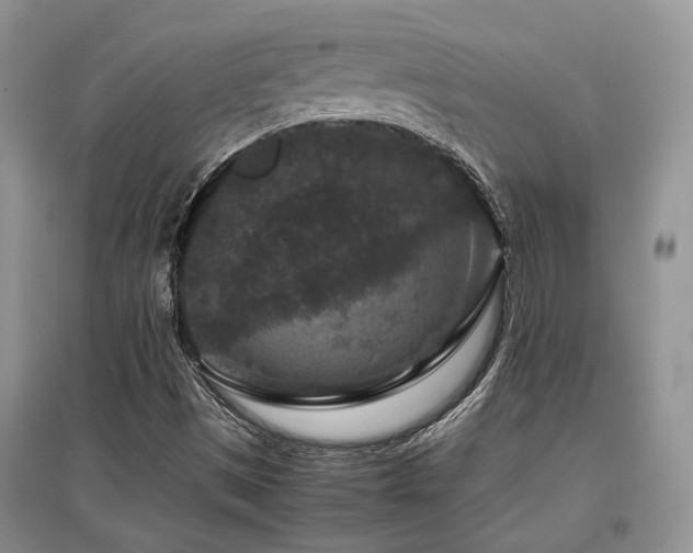 X0000097841497200803141156