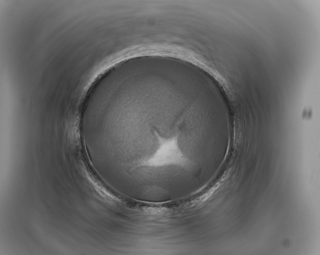 X0000097841498200803141156