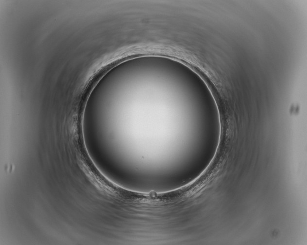 X0000097841499200803141156