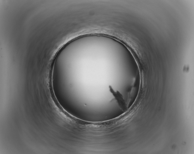 X0000097841500200803141156