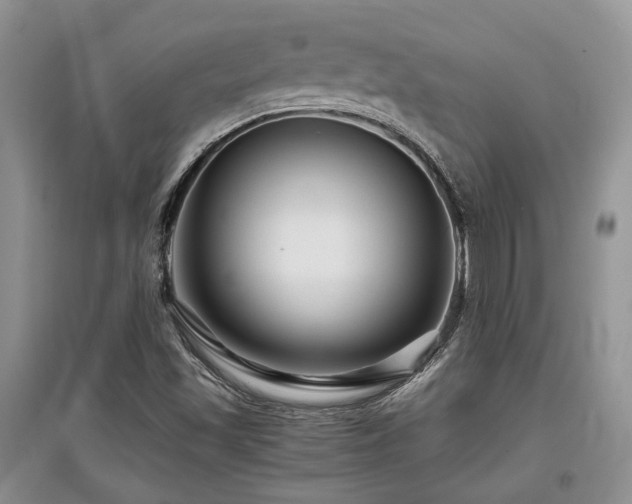 X0000097841501200803141156