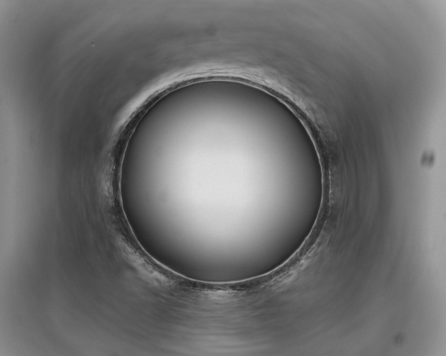 X0000097841502200803141156