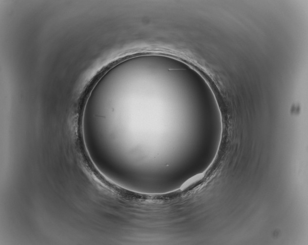 X0000097841503200803141156