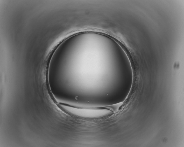 X0000097841504200803141156