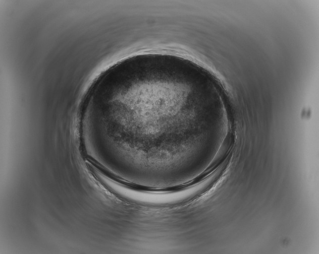 X0000097841506200803141156
