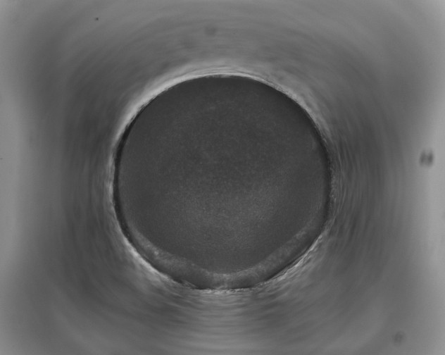 X0000097841508200803141156