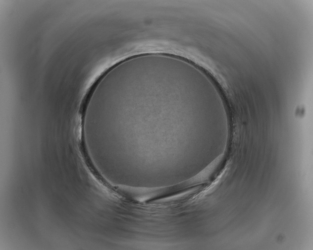 X0000097841509200803141156