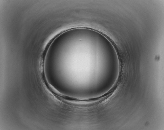 X0000097841510200803141156