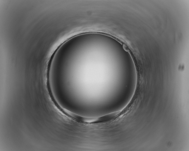 X0000097841512200803141156
