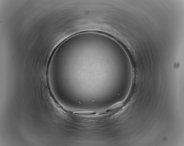 X0000097841513200803141156