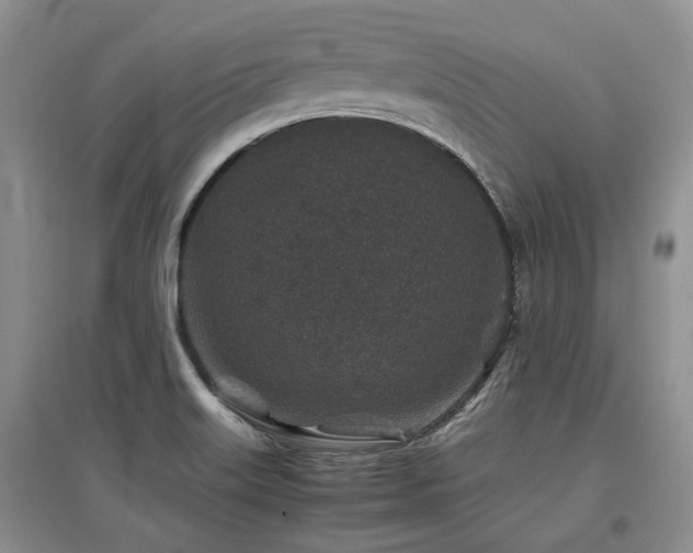 X0000097841515200803141156