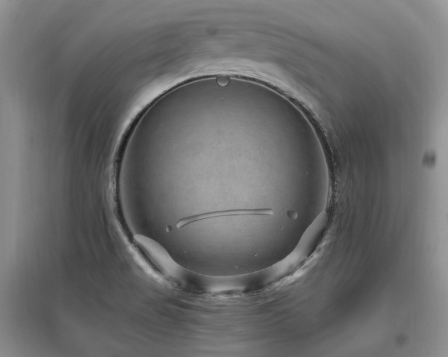 X0000097841517200803141156