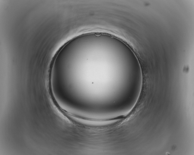 X0000097841518200803141156